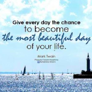 quote about life mark twain_mini