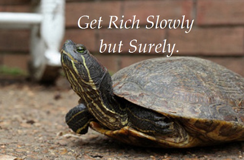 Avoid Get Rich Quick Schemes and Try to Get Rich Slowly Like Turtle