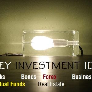 Money Investment Ideas Popular for Beginner Investors