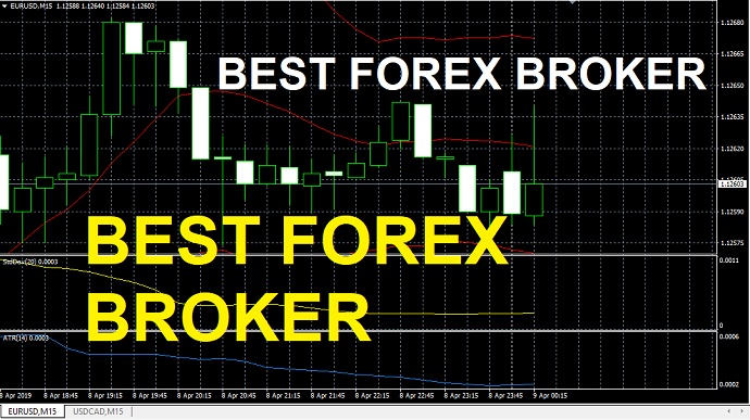 best forex company for begginers