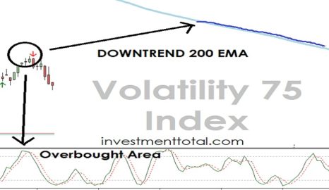 volatility index investing