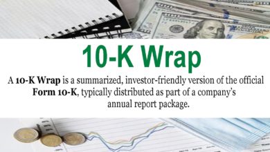 10-K Wrap