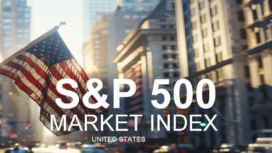 S&P 500 US Stock Market Index