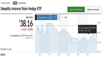 Simplify Interest Rate Hedge ETF (PFIX)