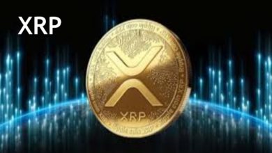 XRP Crypto Performance